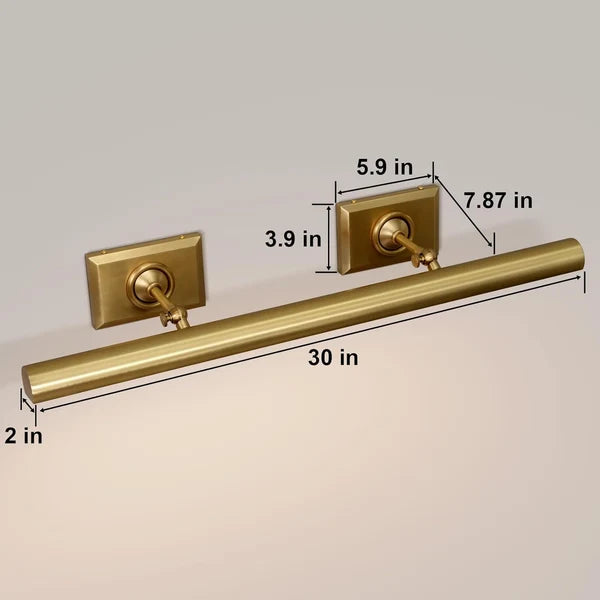 Anite Picture Light