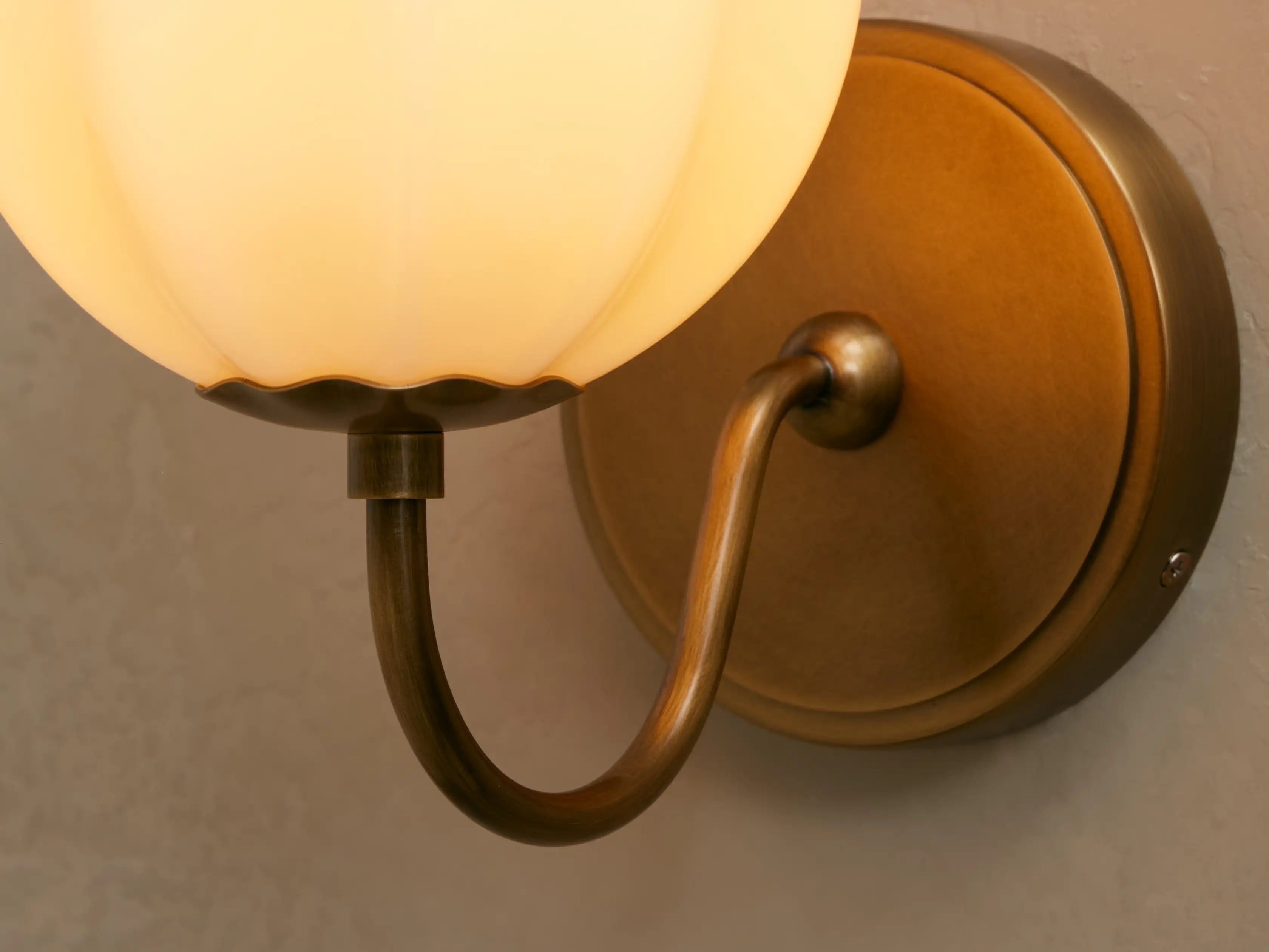 Agnes Gooseneck Sconce