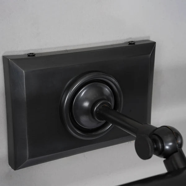 Anite Picture Light